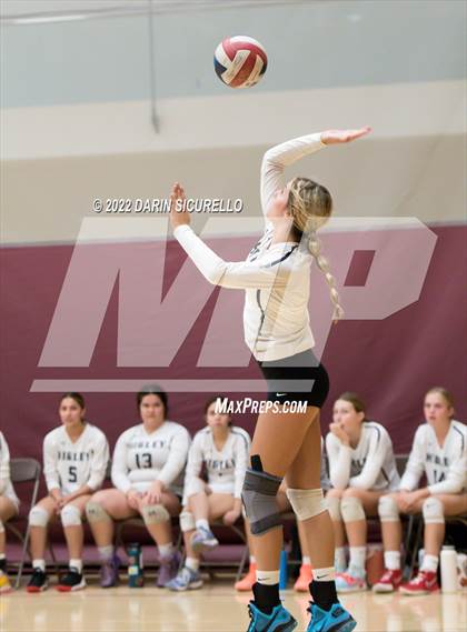 Thumbnail 1 in Thunderbird vs. Higley (Epic Tourneys Volleyball Invite) photogallery.