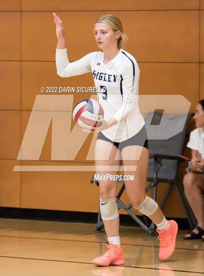 Thumbnail 1 in Thunderbird vs. Higley (Epic Tourneys Volleyball Invite) photogallery.