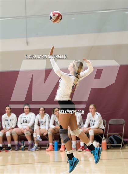 Thumbnail 3 in Thunderbird vs. Higley (Epic Tourneys Volleyball Invite) photogallery.