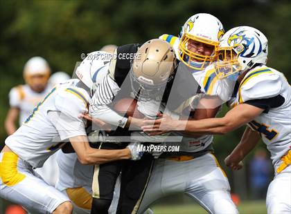 Thumbnail 2 in Irondequoit @ Greece Athena photogallery.