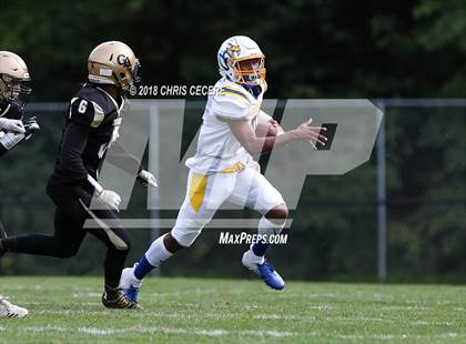Thumbnail 1 in Irondequoit @ Greece Athena photogallery.
