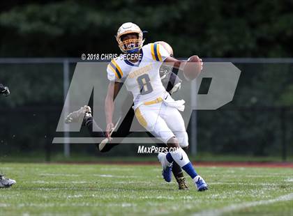 Thumbnail 2 in Irondequoit @ Greece Athena photogallery.