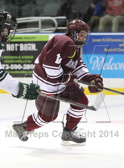 Thumbnail 1 in Don Bosco Prep vs Delbarton (Gordon Cup Final) photogallery.