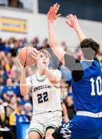 Photo from the gallery "Carroll @ Homestead"
