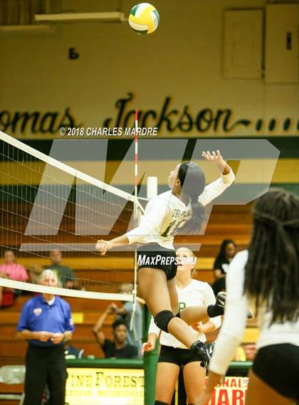 Thumbnail 3 in Pine Forest vs. E.E. Smith photogallery.