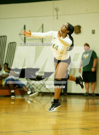 Thumbnail 1 in Pine Forest vs. E.E. Smith photogallery.