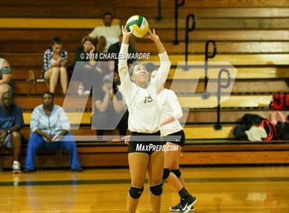 Thumbnail 1 in Pine Forest vs. E.E. Smith photogallery.