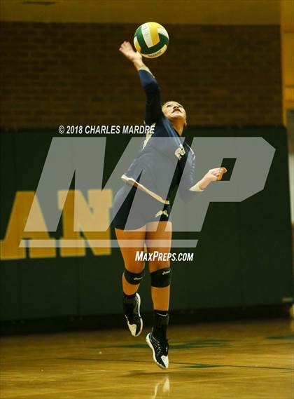 Thumbnail 2 in Pine Forest vs. E.E. Smith photogallery.