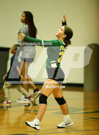 Thumbnail 1 in Pine Forest vs. E.E. Smith photogallery.