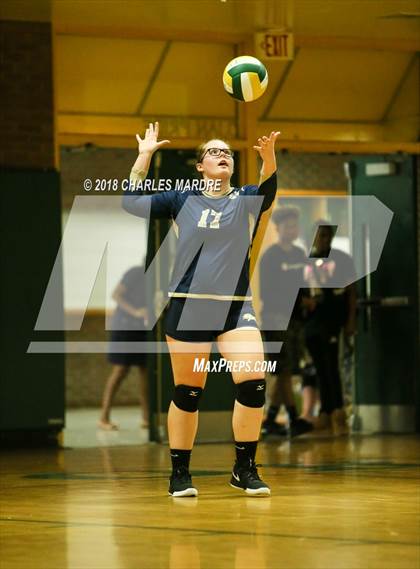 Thumbnail 2 in Pine Forest vs. E.E. Smith photogallery.