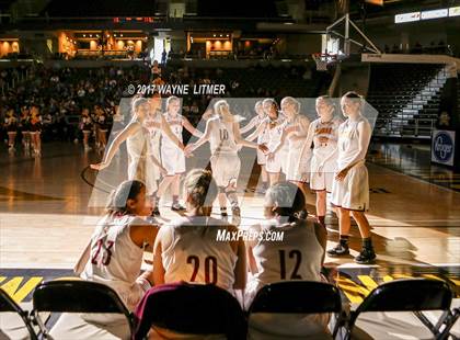 Thumbnail 1 in Holmes vs Cooper  (Ninth Region) photogallery.
