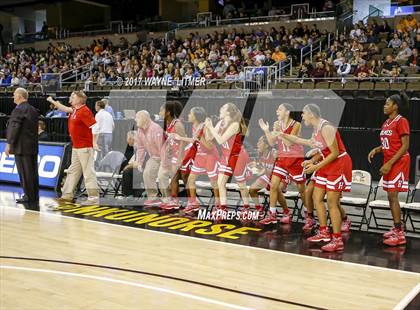 Thumbnail 2 in Holmes vs Cooper  (Ninth Region) photogallery.
