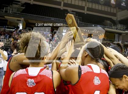Thumbnail 1 in Holmes vs Cooper  (Ninth Region) photogallery.
