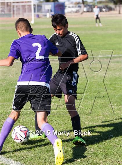 Thumbnail 1 in Enochs vs. Johansen photogallery.