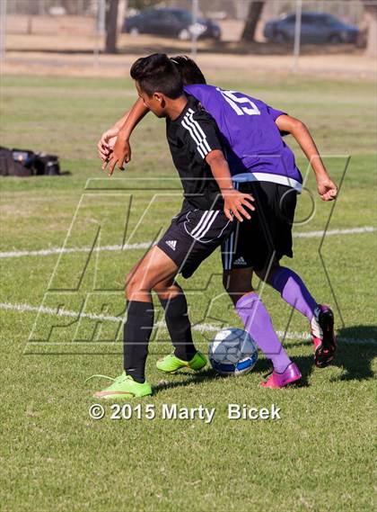 Thumbnail 2 in Enochs vs. Johansen photogallery.