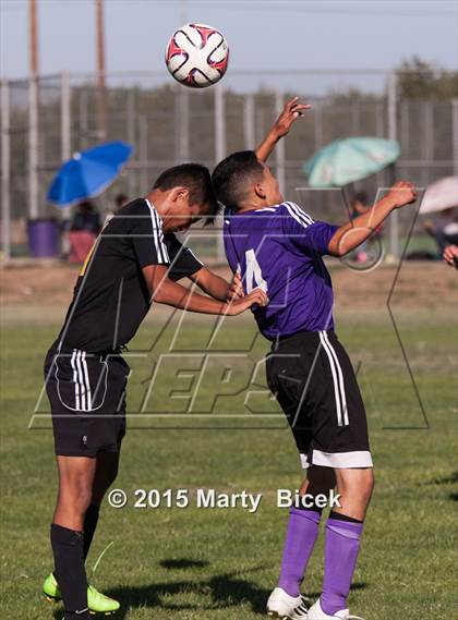 Thumbnail 1 in Enochs vs. Johansen photogallery.