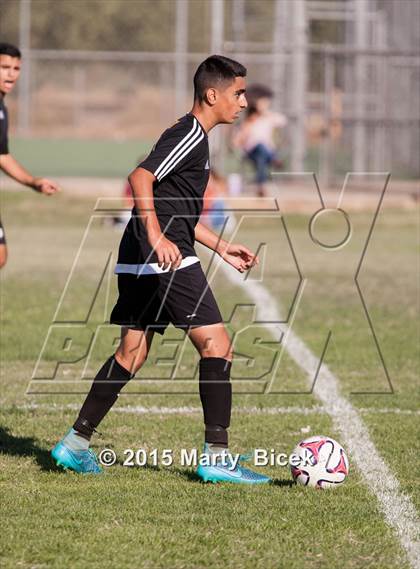 Thumbnail 3 in Enochs vs. Johansen photogallery.