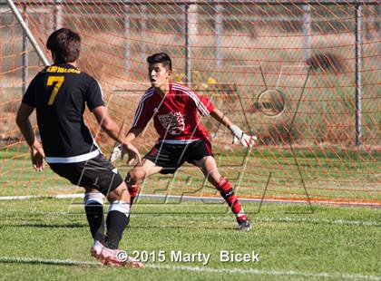 Thumbnail 2 in Enochs vs. Johansen photogallery.