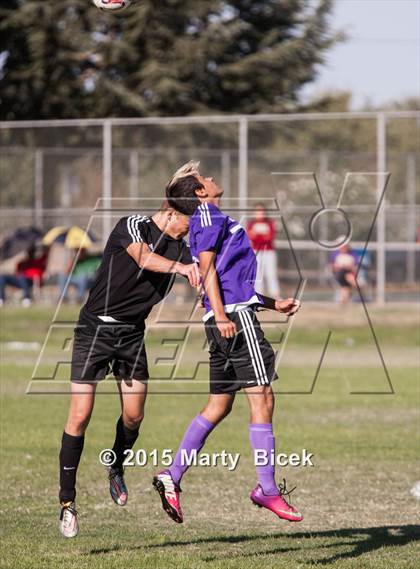 Thumbnail 2 in Enochs vs. Johansen photogallery.