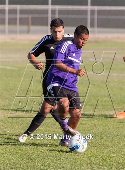 Thumbnail 3 in Enochs vs. Johansen photogallery.