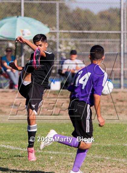 Thumbnail 2 in Enochs vs. Johansen photogallery.