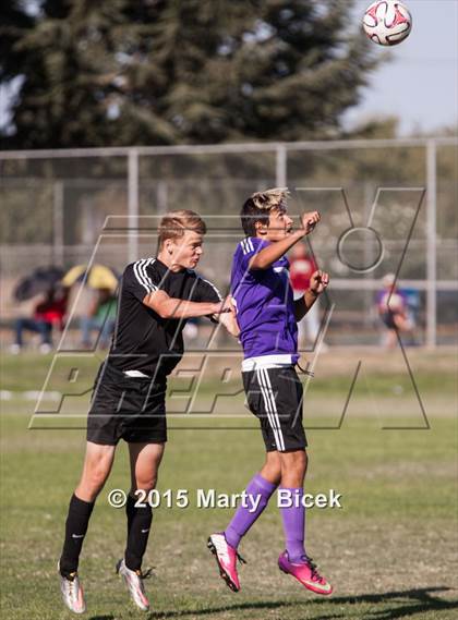 Thumbnail 1 in Enochs vs. Johansen photogallery.