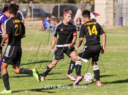 Thumbnail 3 in Enochs vs. Johansen photogallery.