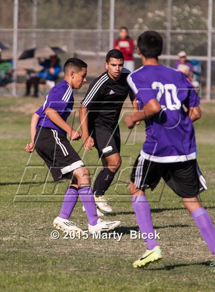 Thumbnail 3 in Enochs vs. Johansen photogallery.