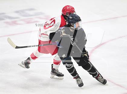 Thumbnail 3 in Joel Barlow/Weston/Abbott Tech vs. Conard (CIAC DIII Final) photogallery.