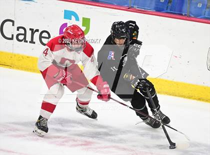 Thumbnail 1 in Joel Barlow/Weston/Abbott Tech vs. Conard (CIAC DIII Final) photogallery.