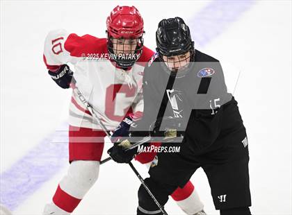 Thumbnail 1 in Joel Barlow/Weston/Abbott Tech vs. Conard (CIAC DIII Final) photogallery.