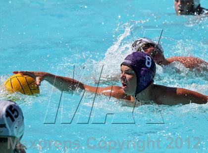 Thumbnail 1 in Johansen vs Buhach Colony (Sierra Shootout) photogallery.