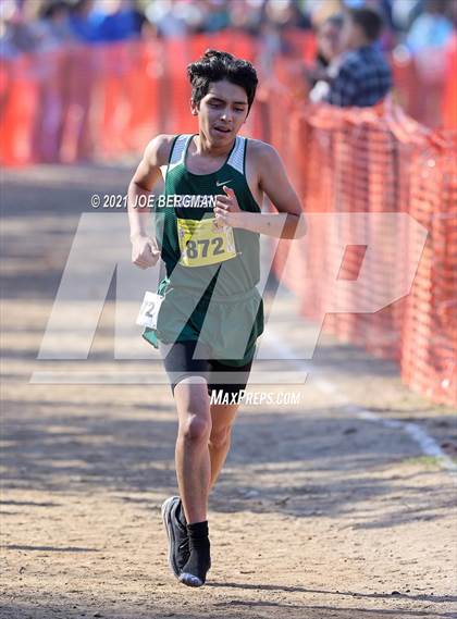 Thumbnail 3 in CIF State Cross Country Championships (Boys D5 Race) photogallery.