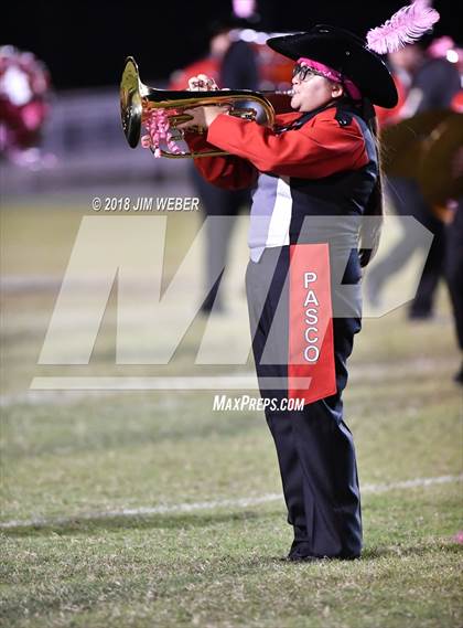 Thumbnail 2 in Sunlake @ Pasco photogallery.