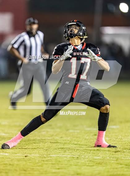 Thumbnail 1 in Southern Lee @ Hoke County photogallery.