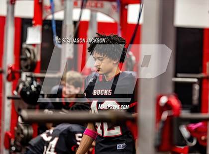 Thumbnail 1 in Southern Lee @ Hoke County photogallery.