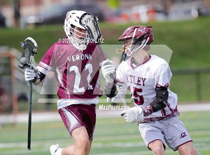 Thumbnail 3 in Verona @ Nutley photogallery.