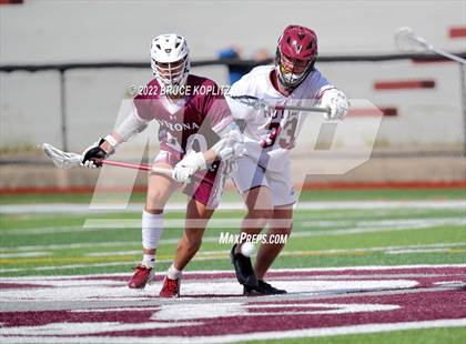 Thumbnail 3 in Verona @ Nutley photogallery.