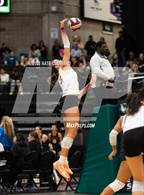 Photo from the gallery "Orem vs. Lone Peak"