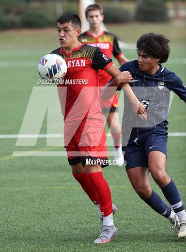 null - Photo 21