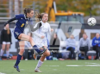 Thumbnail 1 in Ledyard vs Lyman Memorial (ECC Division 2 Final) photogallery.