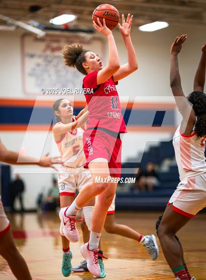 Thumbnail 2 in Cypress Springs @ Seven Lakes photogallery.
