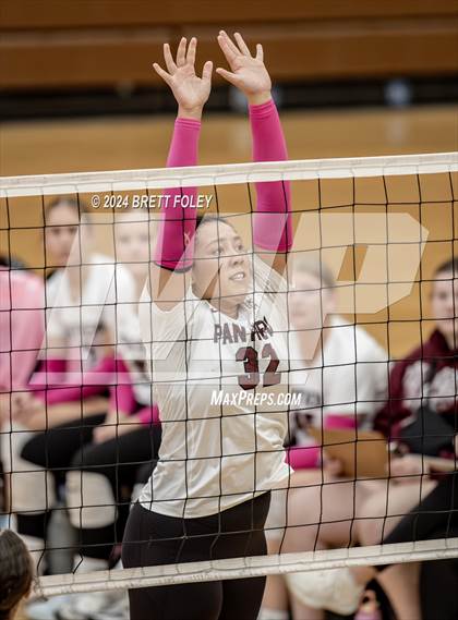 Thumbnail 3 in Millard South vs. Norfolk photogallery.