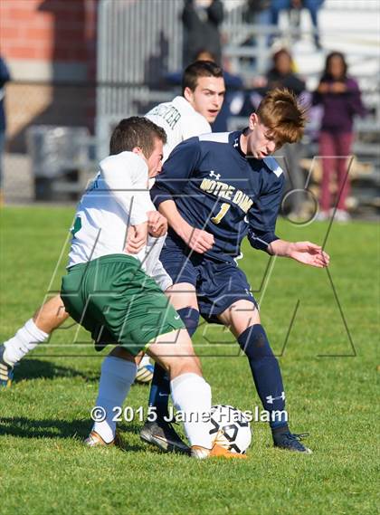 Thumbnail 3 in Notre Dame vs. Schechter (NYSPHSAA Class C Final) photogallery.