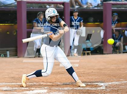 Thumbnail 2 in Salpointe Catholic vs. Cactus (AIA 4A Final) photogallery.