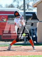 Photo from the gallery "Robertson @ Taos"