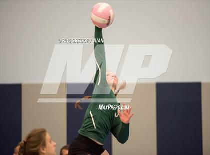 Thumbnail 3 in South Terrebonne vs St. Mary's Dominican (Penguin Volleyball Classic) photogallery.