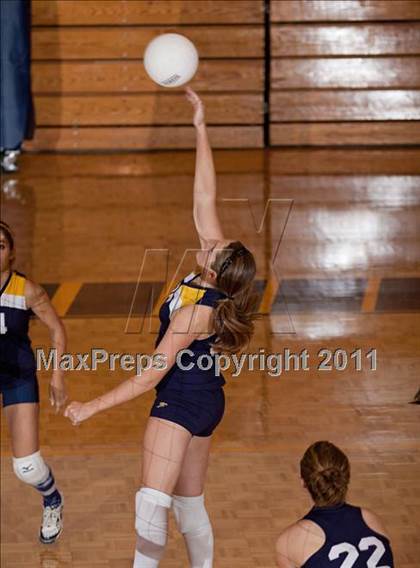 Thumbnail 1 in South-Doyle @ Seymour photogallery.