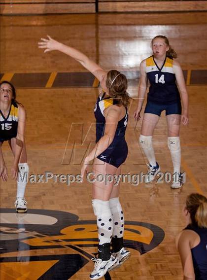 Thumbnail 1 in South-Doyle @ Seymour photogallery.