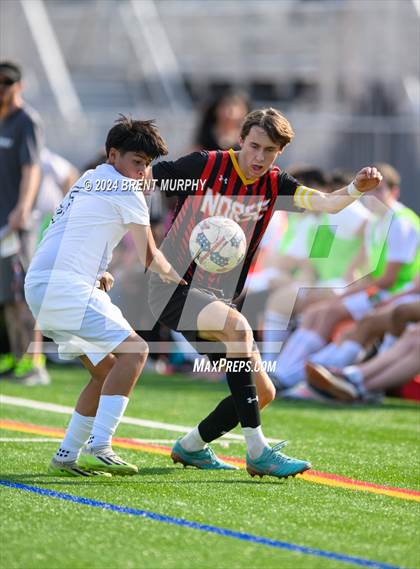 Thumbnail 3 in Pomona @ Northglenn photogallery.